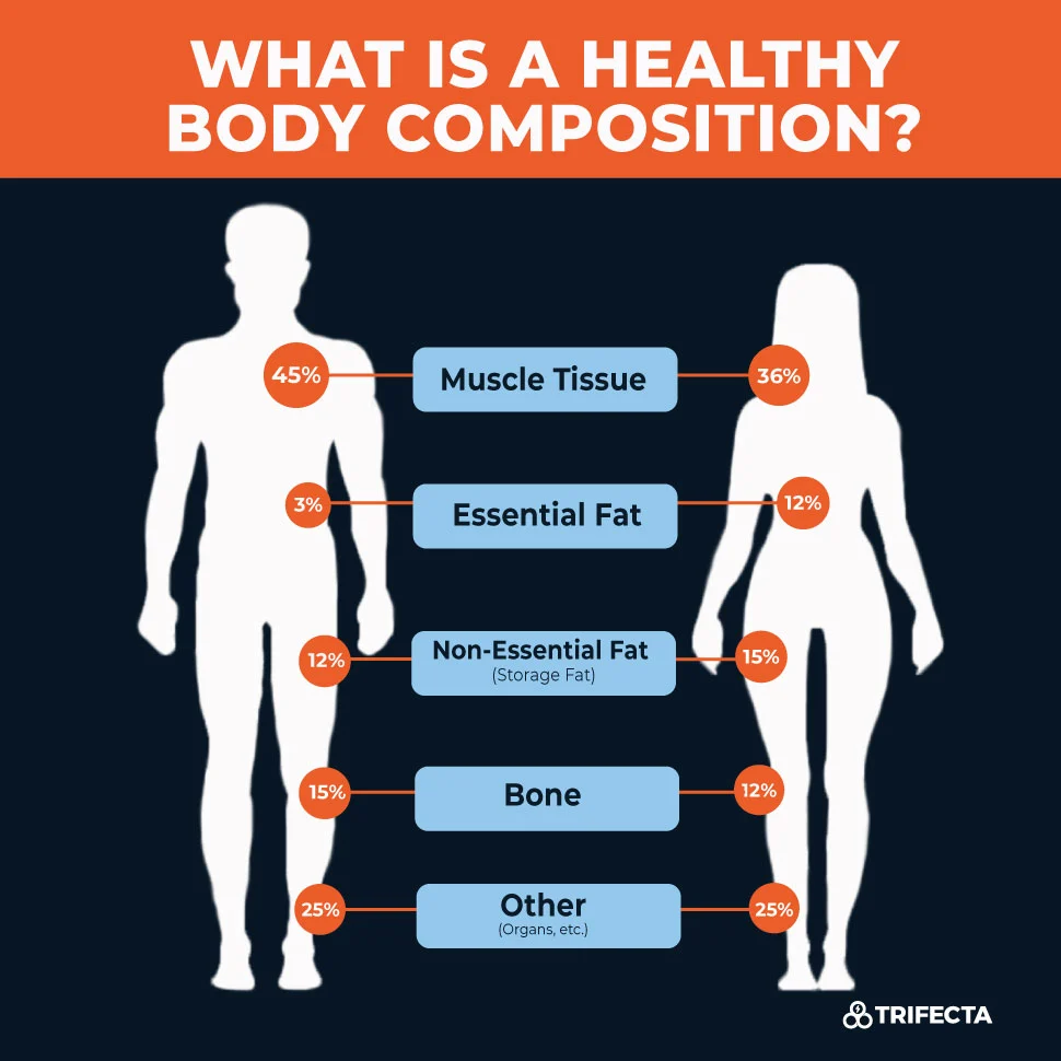 https://bodysculptdoc.co.za/wp-content/uploads/2023/07/what-is-a-healthy-body-composition-2.webp